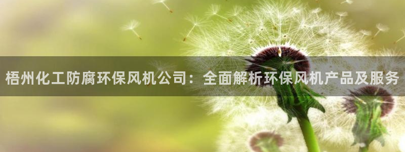 亿万先生手机网页：梧州化工防腐环保风机公司：全面解析环保风机产品及服务