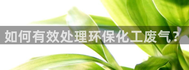 亿万先生官方登录网址：如何有效处理环保化工废气？