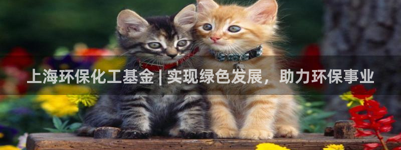 亿万先生首页：上海环保化工基金 | 实现绿色发展，助力环保事业