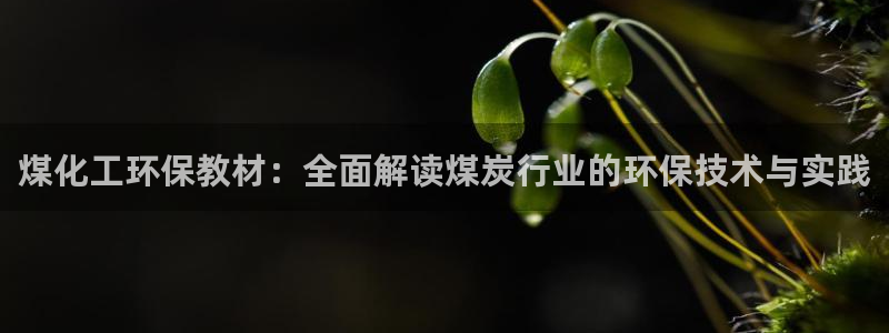 亿万笞人：煤化工环保教材：全面解读煤炭行业的环保技术与实践