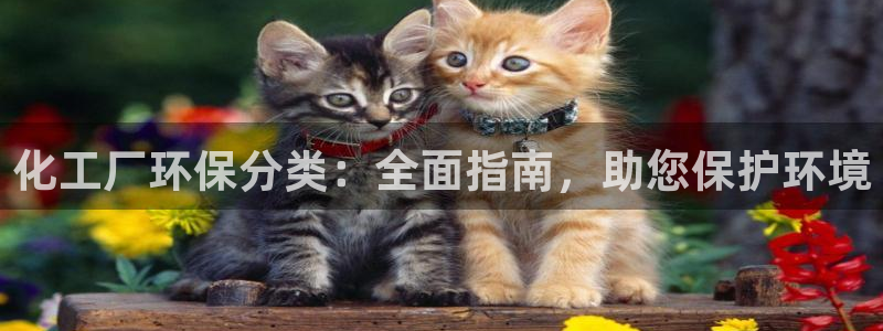 亿万城市手游官网：化工厂环保分类：全面指南，助您保护环境