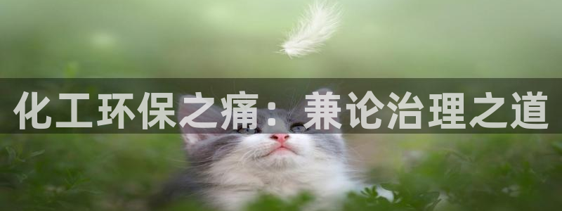亿万百度吧：化工环保之痛：兼论治理之道