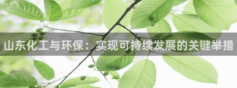 亿万城市手游官网：山东化工与环保：实现可持续发展的关键举措