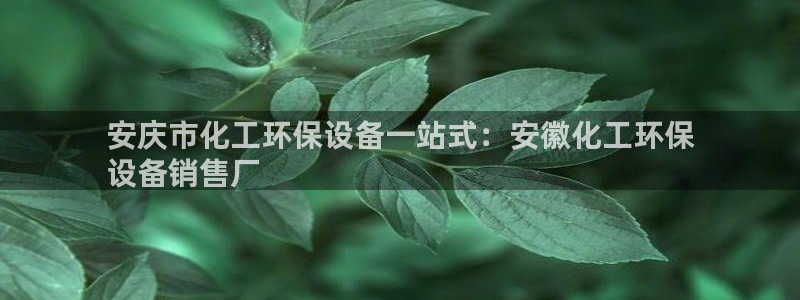 亿万网友在线实时为你解答：安庆市化工环保设备一站式：安徽化工环保
设备销售厂