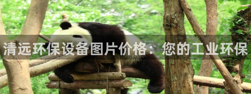 亿万讲什么