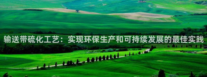 亿万先生是男是女：输送带硫化工艺：实现环保生产和可持续发展的最佳实践