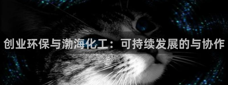 亿万先生充电桩：创业环保与渤海化工：可持续发展的与协作