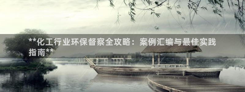 亿万网红：**化工行业环保督察全攻略：案例汇编与最佳实践
指南**