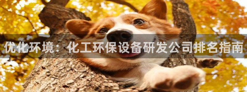 亿万先生 手机版下载：优化环境：化工环保设备研发公司排名指南