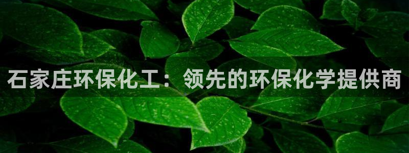 亿万网友在线实时为您解答：石家庄环保化工：领先的环保化学提供商