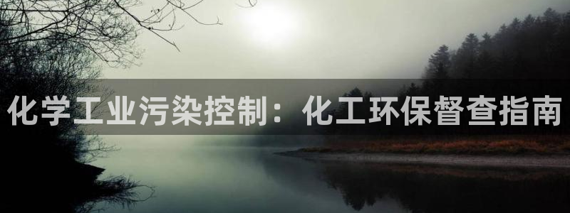 亿万先生手机网页：化学工业污染控制：化工环保督查指南
