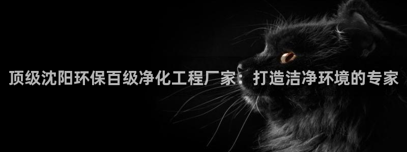 亿万同人字幕组的个人主页：顶级沈阳环保百级净化工程厂家：打造洁净环境的专家