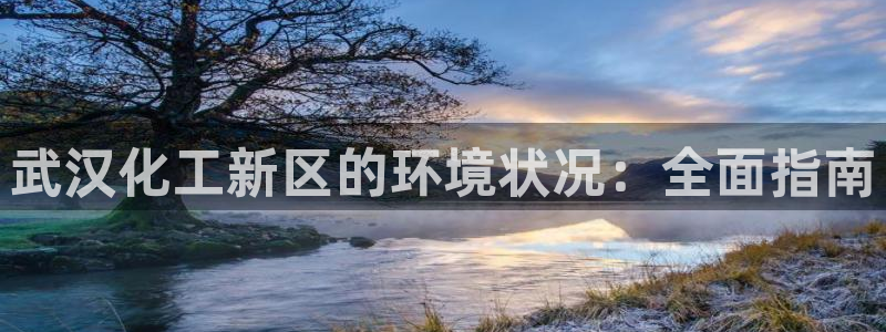 亿万先生合并网址是什么：武汉化工新区的环境状况：全面指南