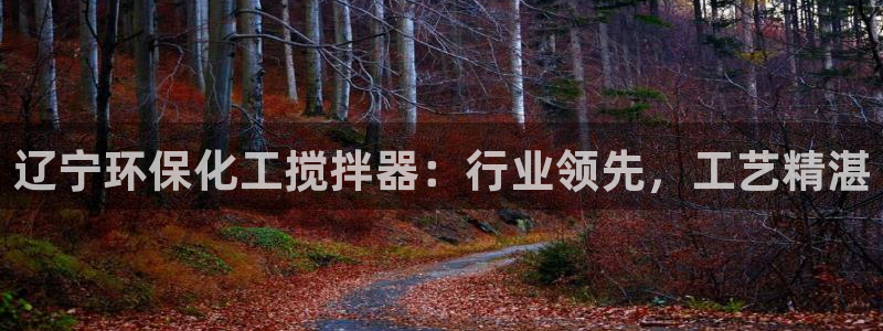 亿万第一季解说：辽宁环保化工搅拌器：行业领先，工艺精湛