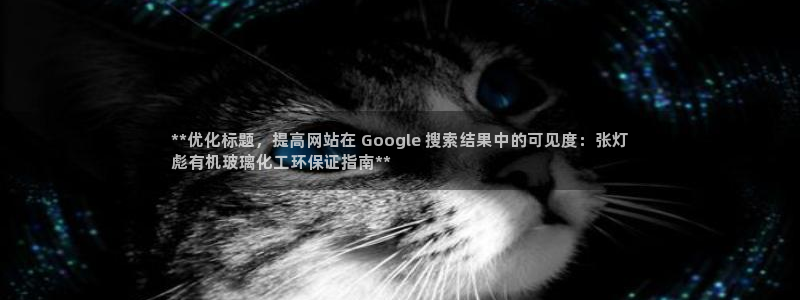 亿万先生官方网站下载手机版：**优化标题，提高网站在 Google 搜索结果中的可见度：张灯
彪有机玻璃化工环保证指南**