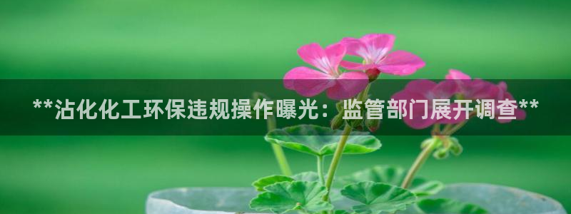 亿万手游平台官网：**沾化化工环保违规操作曝光：监管部门展开调查**