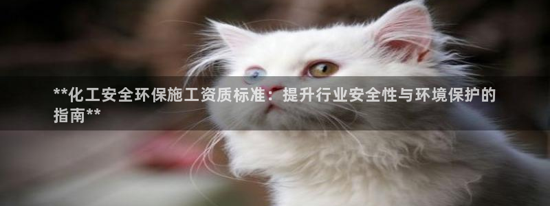 亿万 在线：**化工安全环保施工资质标准：提升行业安全性与环境保护的
指南**