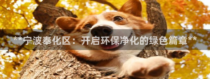 亿万先生mr008：**宁波奉化区：开启环保净化的绿色篇章**