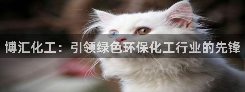 亿万官网字幕：博汇化工：引领绿色环保化工行业的先锋