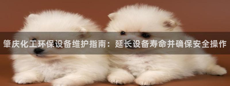 亿万先生网红：肇庆化工环保设备维护指南：延长设备寿命并确保安全操作