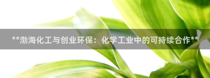 亿万先生充电桩怎么样：**渤海化工与创业环保：化学工业中的可持续合作**