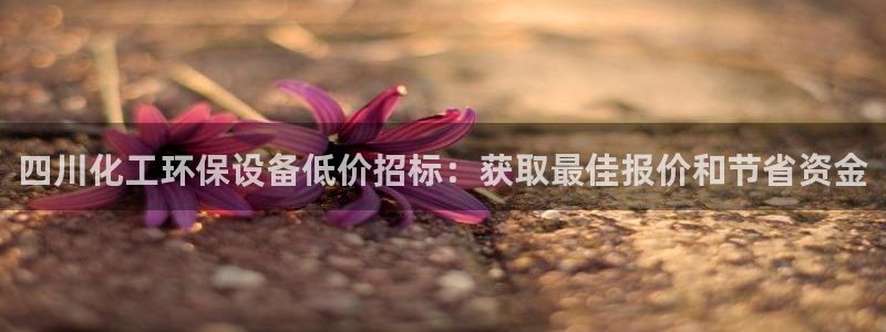 亿万先生客服联系：四川化工环保设备低价招标：获取最佳报价和节省资金