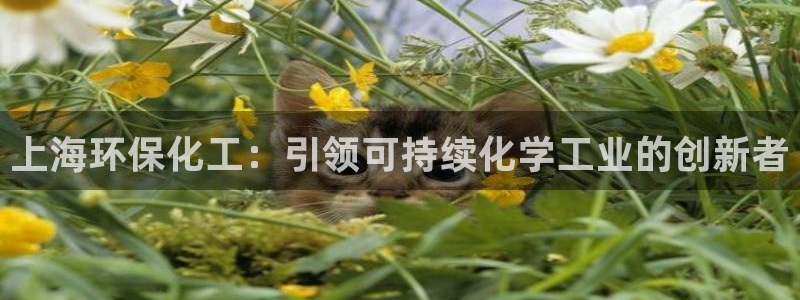 亿万先生网页版下载：上海环保化工：引领可持续化学工业的创新者