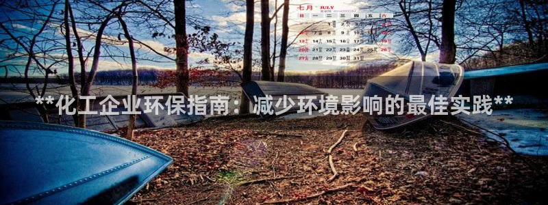 亿万的亿：**化工企业环保指南：减少环境影响的最佳实践**
