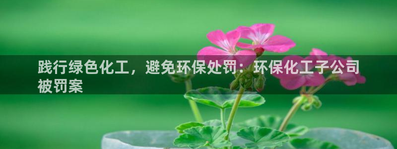 亿万 下载：践行绿色化工，避免环保处罚：环保化工子公司
被罚案