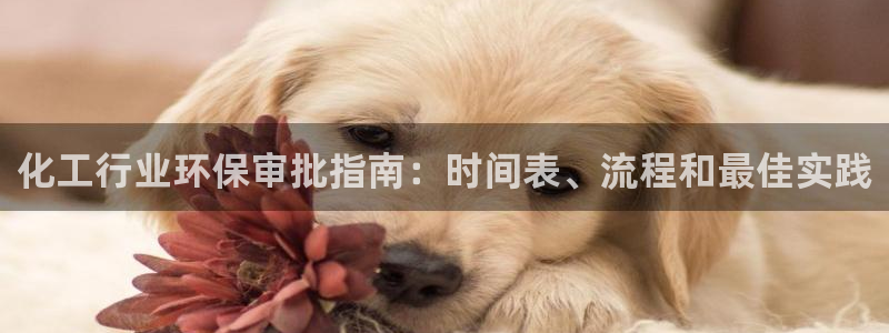 亿万先生网站下载：化工行业环保审批指南：时间表、流程和最佳实践