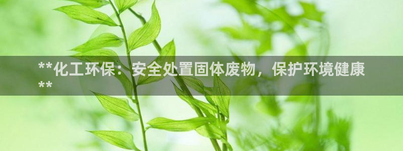 亿万先生合并网址：**化工环保：安全处置固体废物，保护环境健康
**