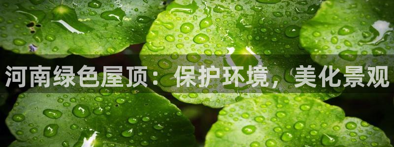 亿万先生：河南绿色屋顶：保护环境，美化景观
