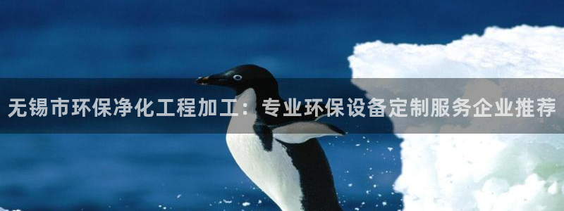 mr001亿万先生：无锡市环保净化工程加工：专业环保设备定制服务企业推荐