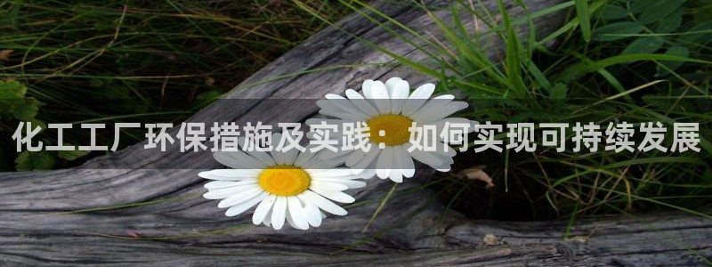 亿万先生 菲律宾：化工工厂环保措施及实践：如何实现可持续发展