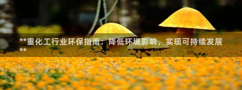 亿万28下载地址：**重化工行业环保指南：降低环境影响，实现可持续发展
**