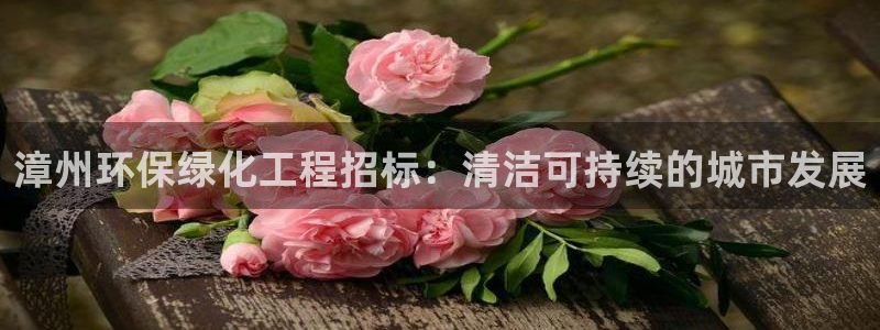 亿万先生官方网站：漳州环保绿化工程招标：清洁可持续的城市发展