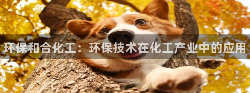 亿万先生网页在线客服：环保和合化工：环保技术在化工产业中的应用