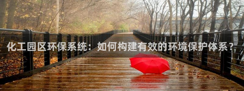 亿万解析：化工园区环保系统：如何构建有效的环境保护体系？