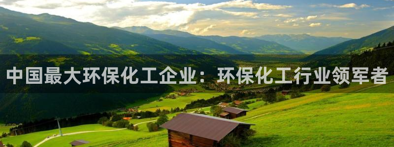 mr07亿万先生：中国最大环保化工企业：环保化工行业领军者