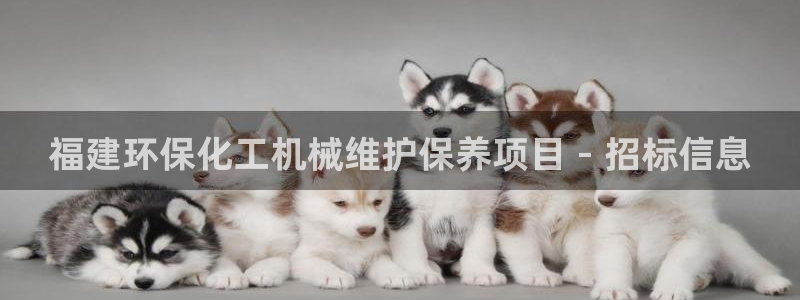 亿万问答：福建环保化工机械维护保养项目 - 招标信息