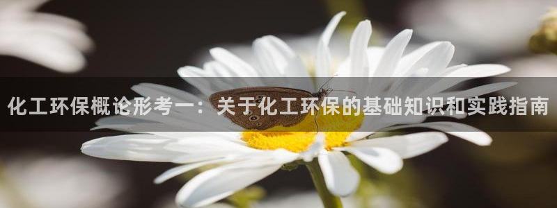亿万先生合并网址是多少：化工环保概论形考一：关于化工环保的基础知识和实践指南