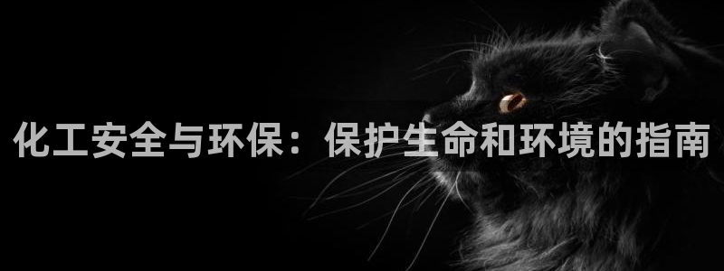 亿万同人字幕组微博的微博：化工安全与环保：保护生命和环境的指南