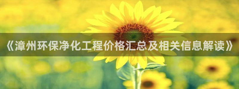 亿万先生手机客户端：《漳州环保净化工程价格汇总及相关信息解读》