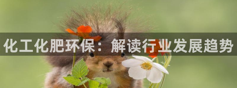 亿万先生手游下载官网：化工化肥环保：解读行业发展趋势
