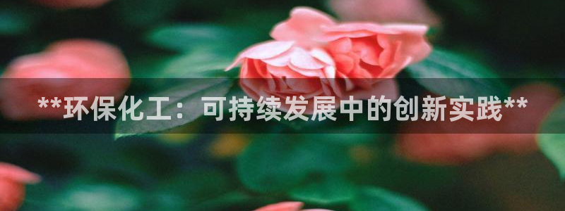 亿万第一集：**环保化工：可持续发展中的创新实践**