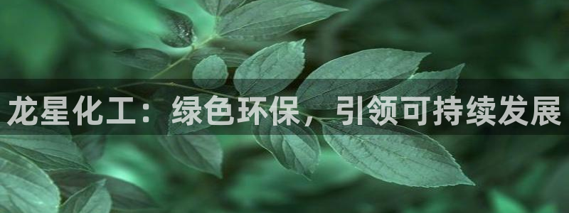 亿万网友在线实时为您解答问题：龙星化工：绿色环保，引领可持续发展