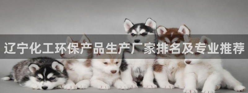 亿万网络：辽宁化工环保产品生产厂家排名及专业推荐