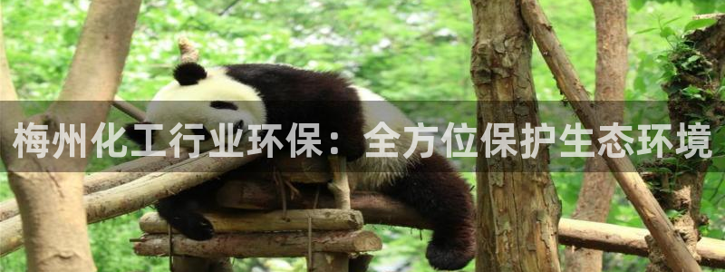 亿万28下载地址：梅州化工行业环保：全方位保护生态环境