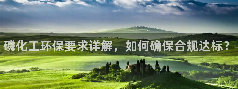 亿万先生换网址了吗：磷化工环保要求详解，如何确保合规达标？